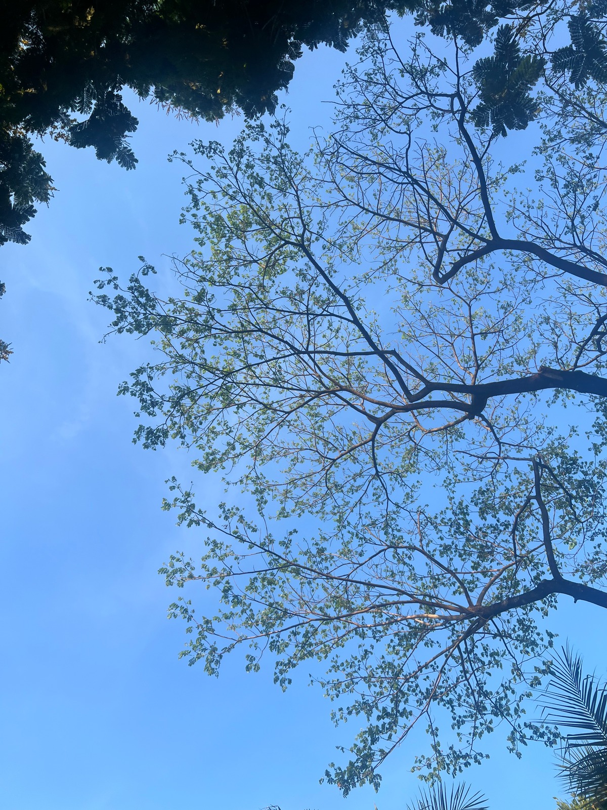 Bầu trời hôm nay đẹp quá.